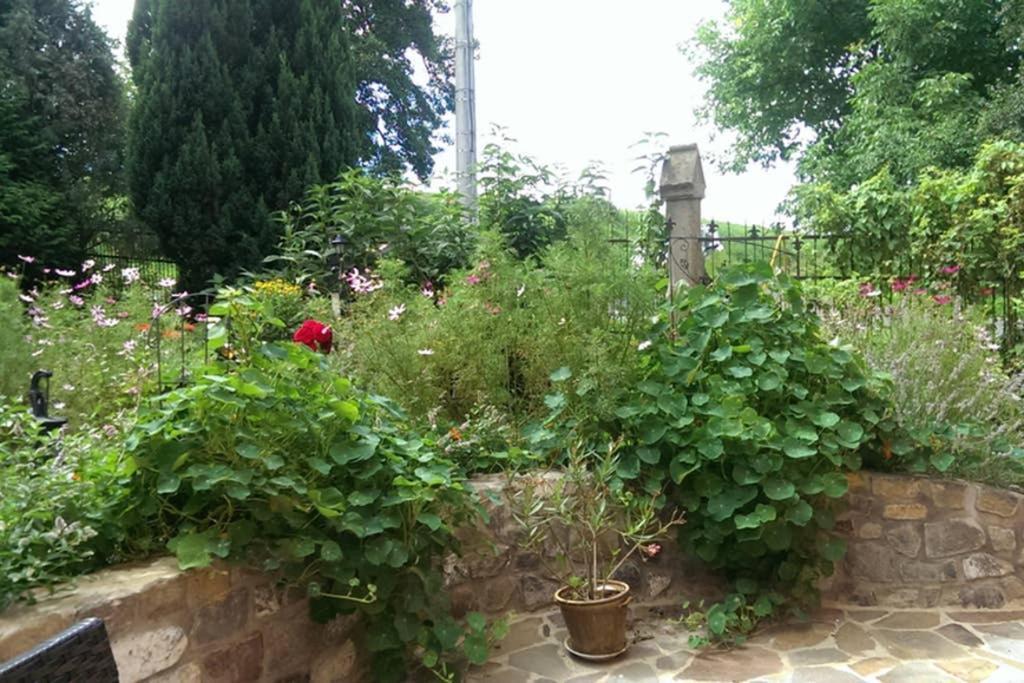 Sinnes Wandel Hof Serka Grimma Dış mekan fotoğraf