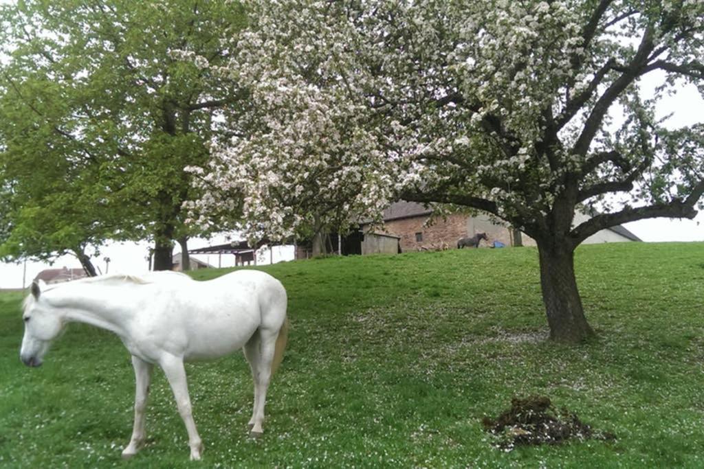 Sinnes Wandel Hof Serka Grimma Dış mekan fotoğraf