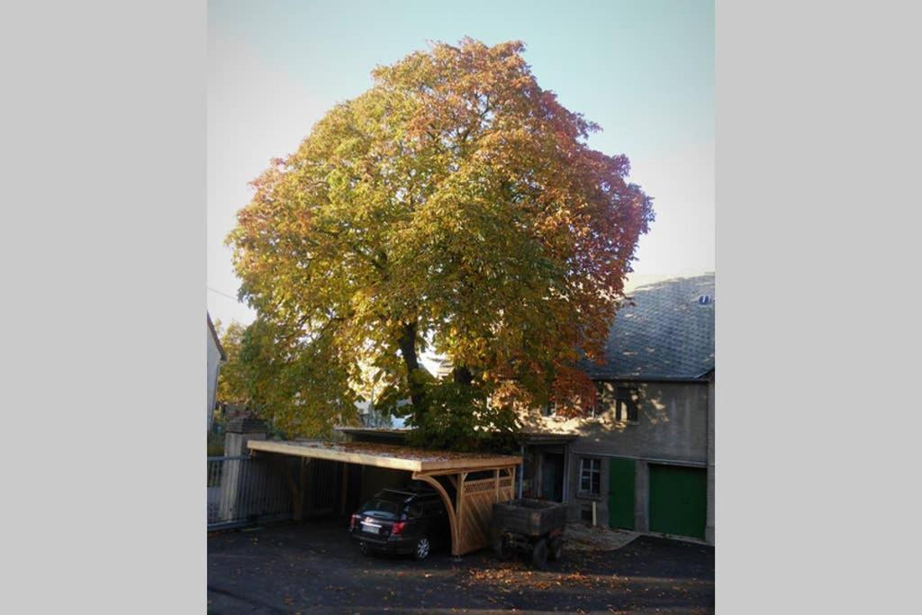 Sinnes Wandel Hof Serka Grimma Dış mekan fotoğraf