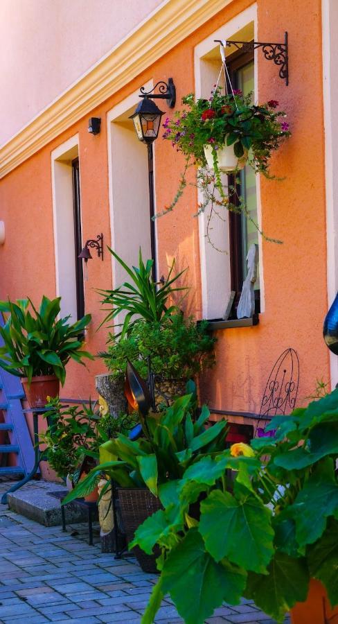 Sinnes Wandel Hof Serka Grimma Dış mekan fotoğraf